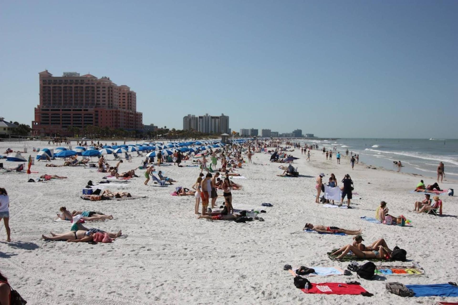 201 Belleair Beach Club Clearwater Beach Zewnętrze zdjęcie